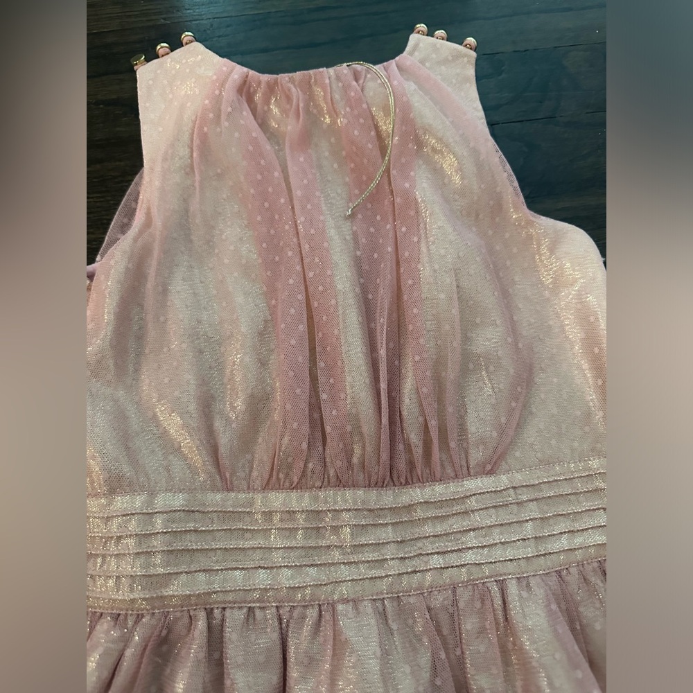 NWOT velveteen dress - Picture 4 of 4